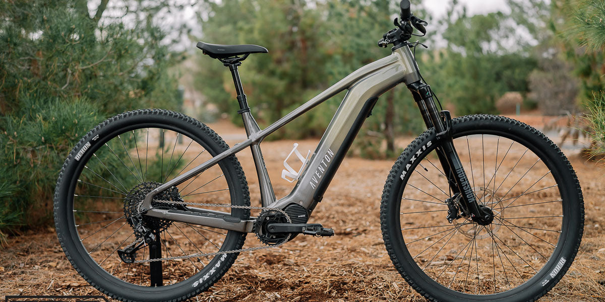 Aventon Ramblas eMTB Borealis