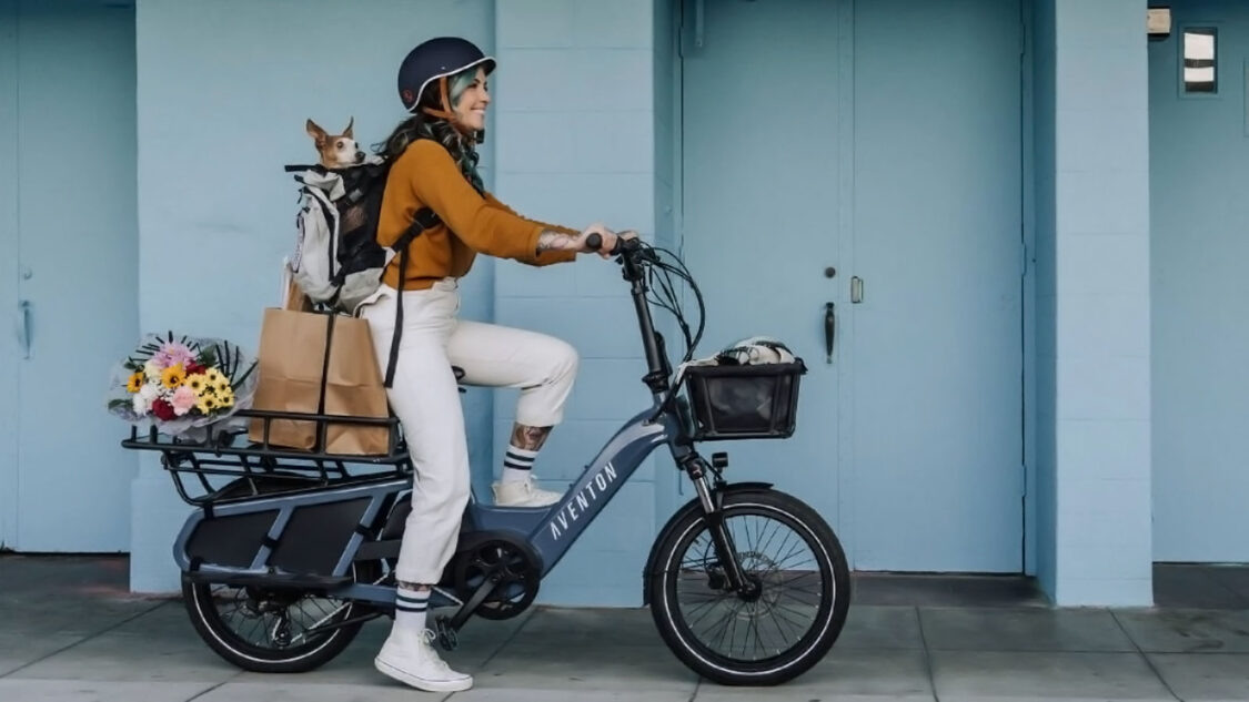 AVENTON Abound Cargo E-Bike
